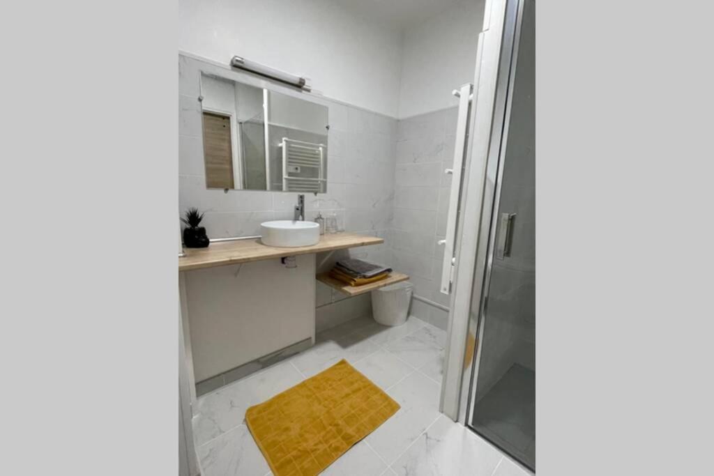 Petit Appartement Cosy A ทรัวส์ ภายนอก รูปภาพ